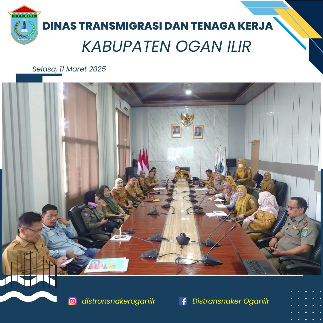 Webinar Rilis dan Sosialisasi Indeks Daya Saing Daerah (DSD)